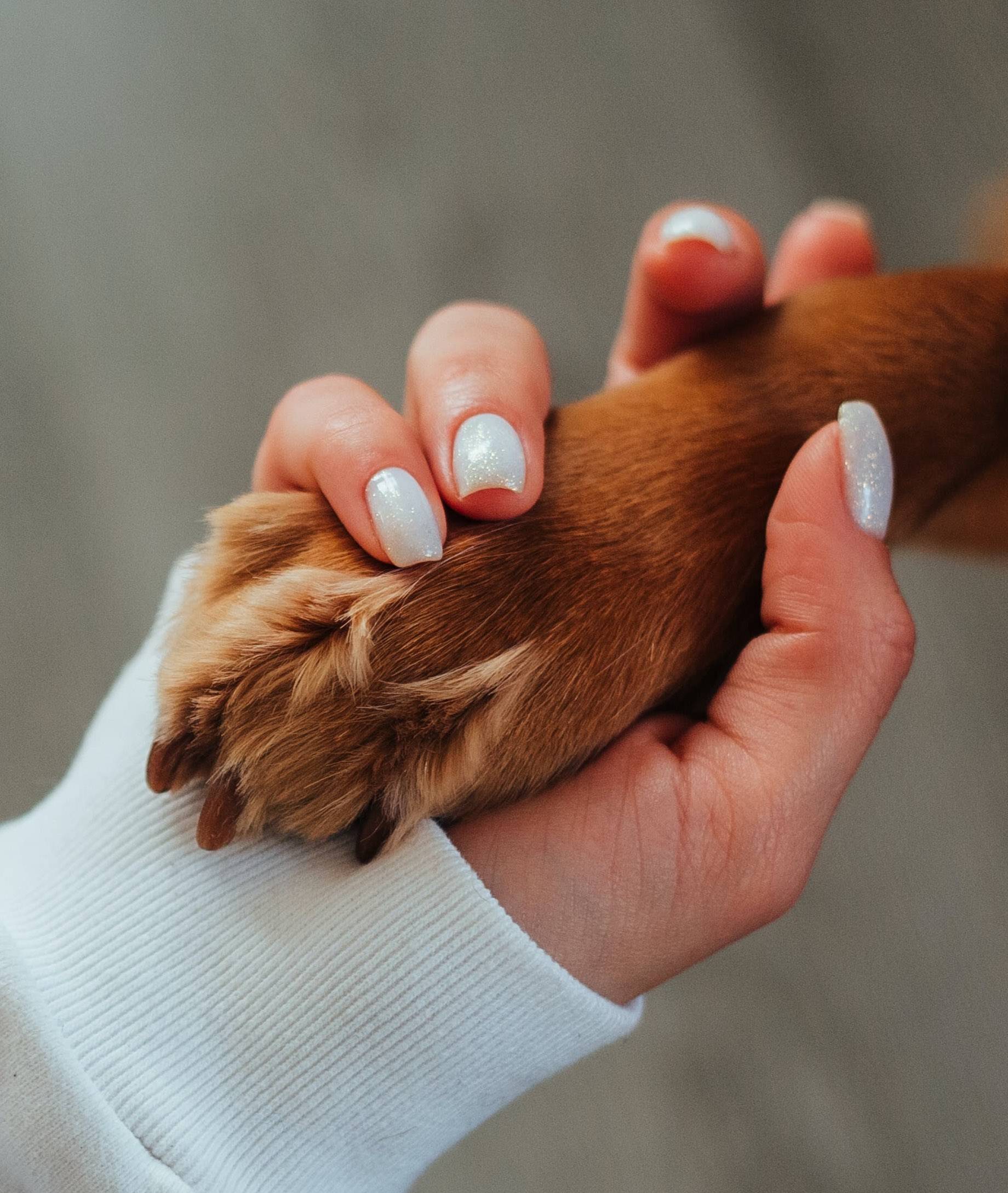 pexels-ivan-babydov-7788657